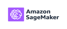 amazon sega (1)