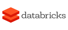 data bricks (1)